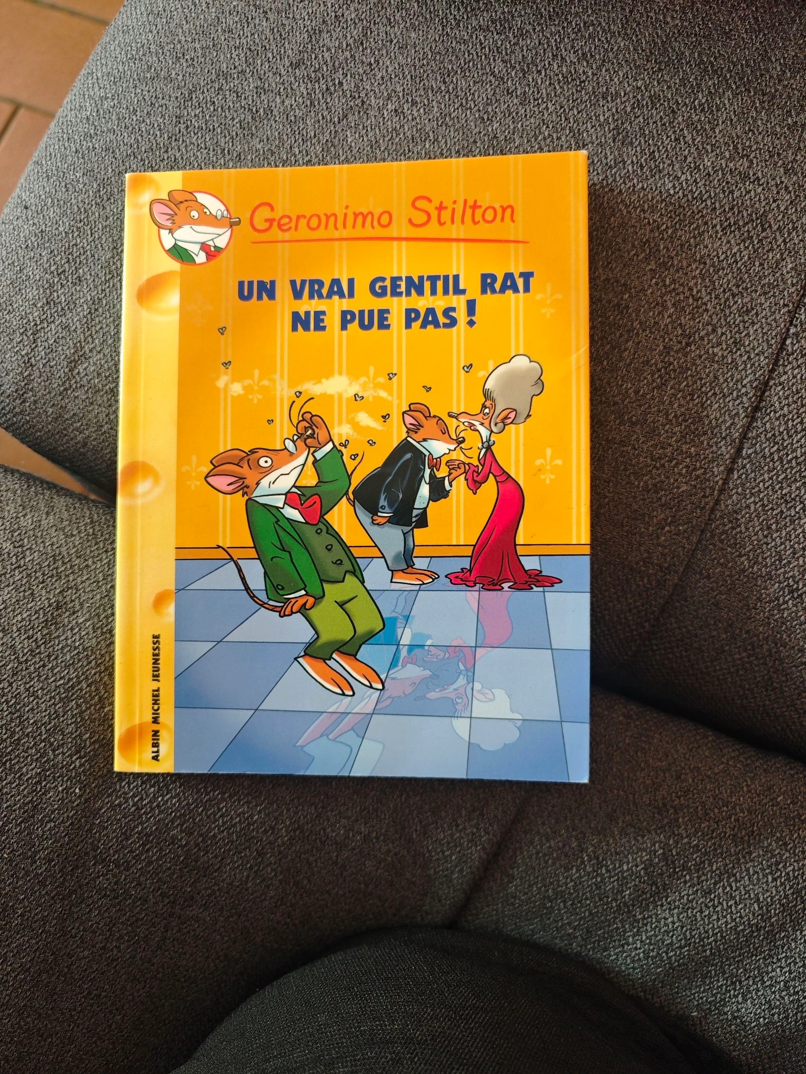 Un vrai gentil rat ne pue pas Tome 31 ( Geronimo Stilton )